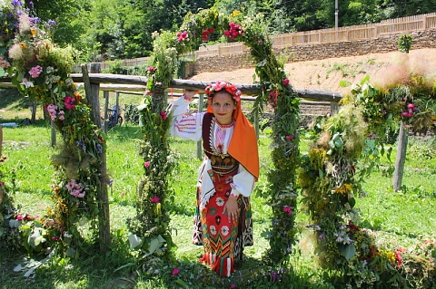 Опасни странични действия на билките