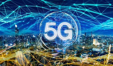 Първите жертви на 5G се появиха в Холандия мъртви птици