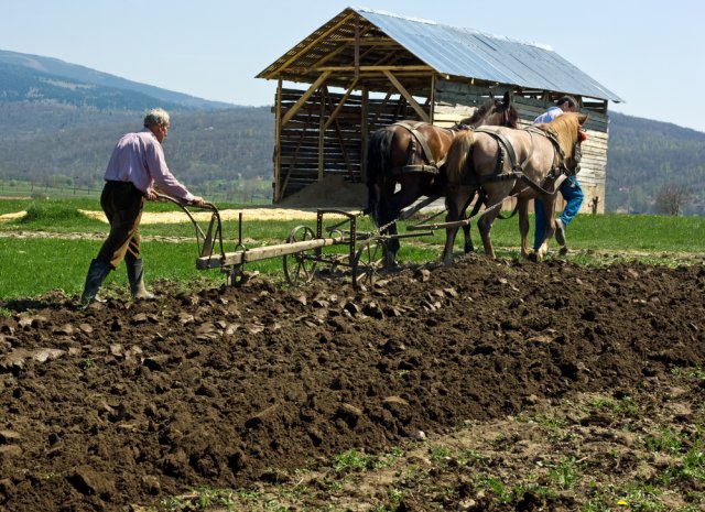 Плуг за градината