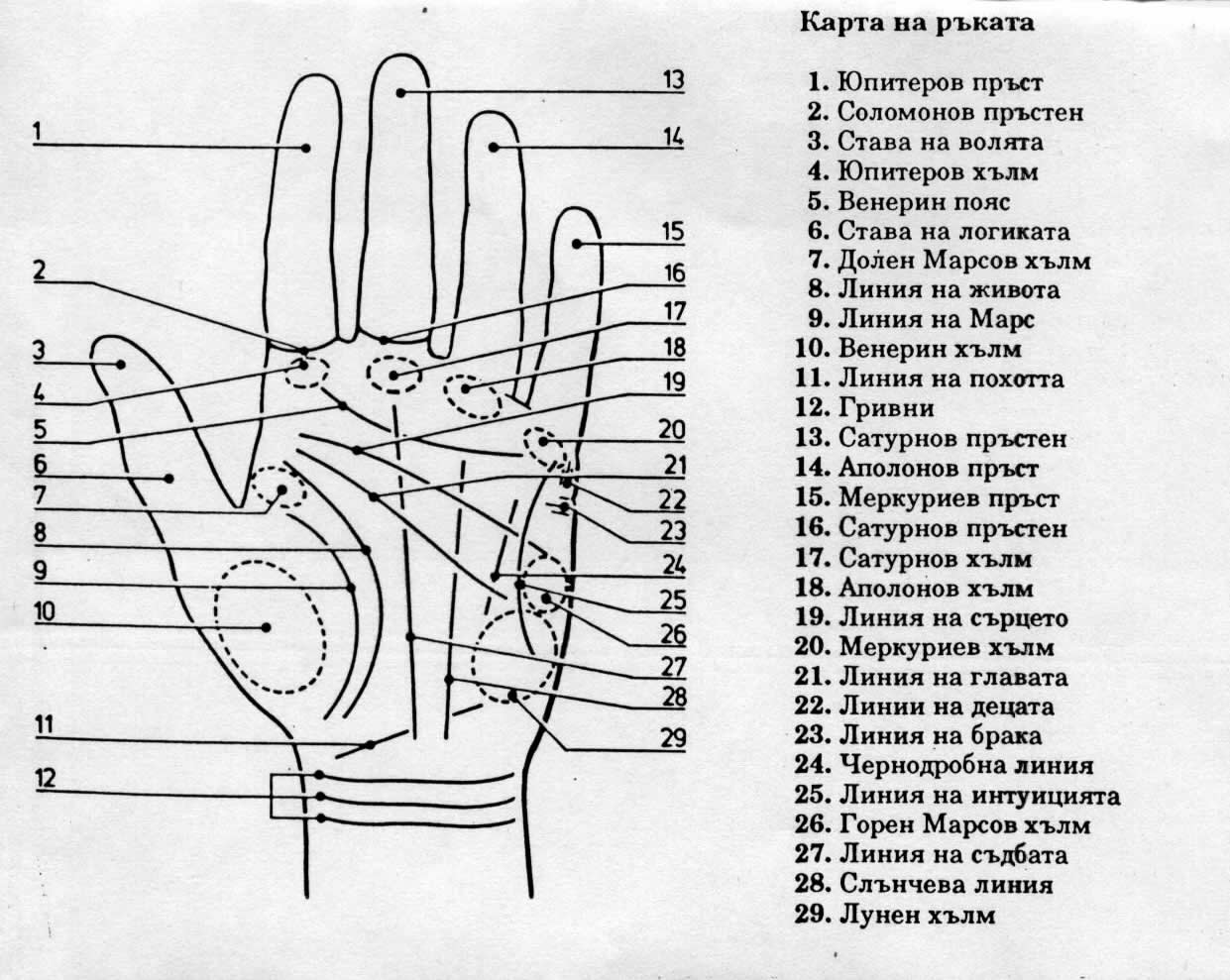 Хиромантия - гледане на ръка